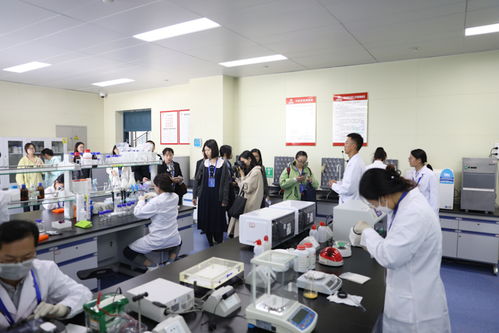 齐鲁理工学院 教育部批准的普通本科院校 官方网站