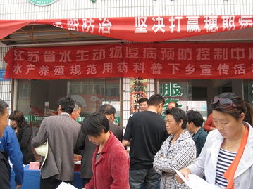 打印新闻